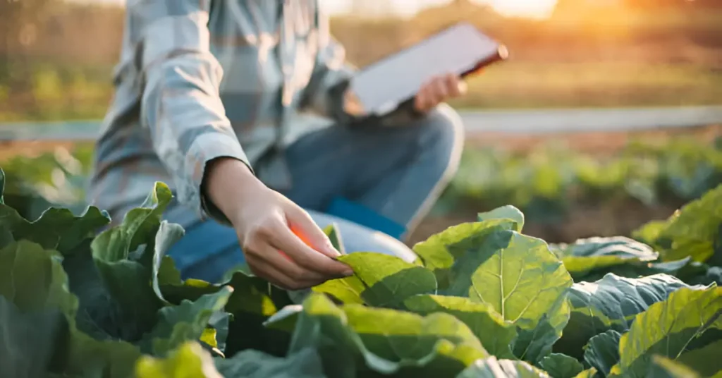 Tarım Şirketi Kurmak İçin Bilmeniz Gerekenler